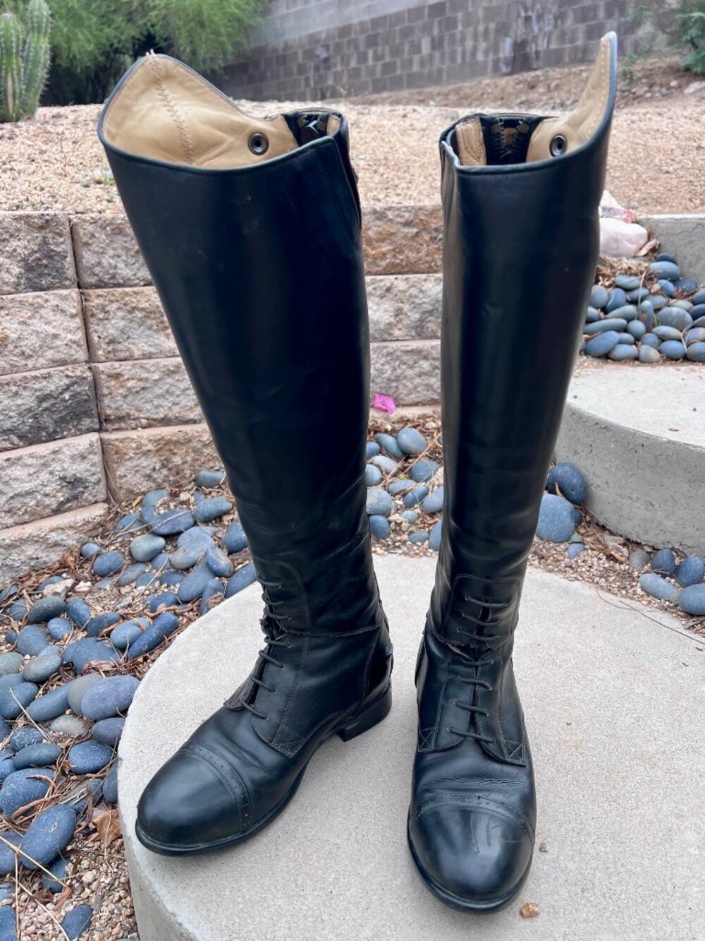 Ariat Quantum Crowne Pro Field Zip Women's Black Leather Equestrian Boot